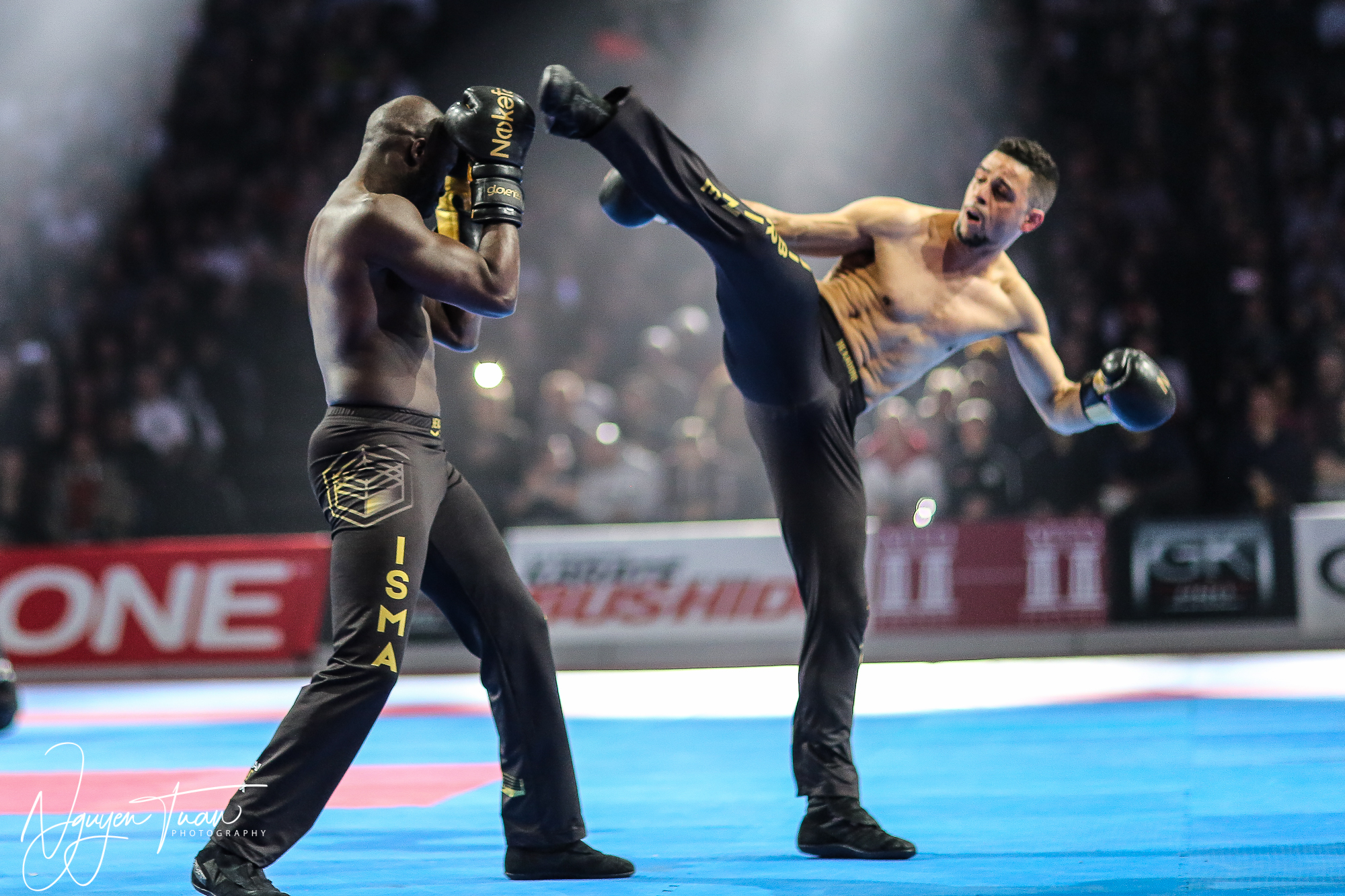 20190324 Festival des Arts Martiaux 2203